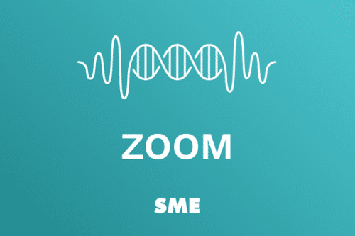 zoom sme