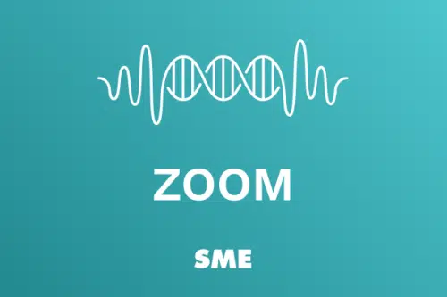 zoom sme